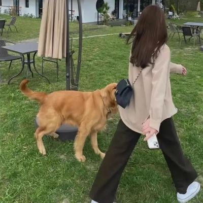 沉默证人